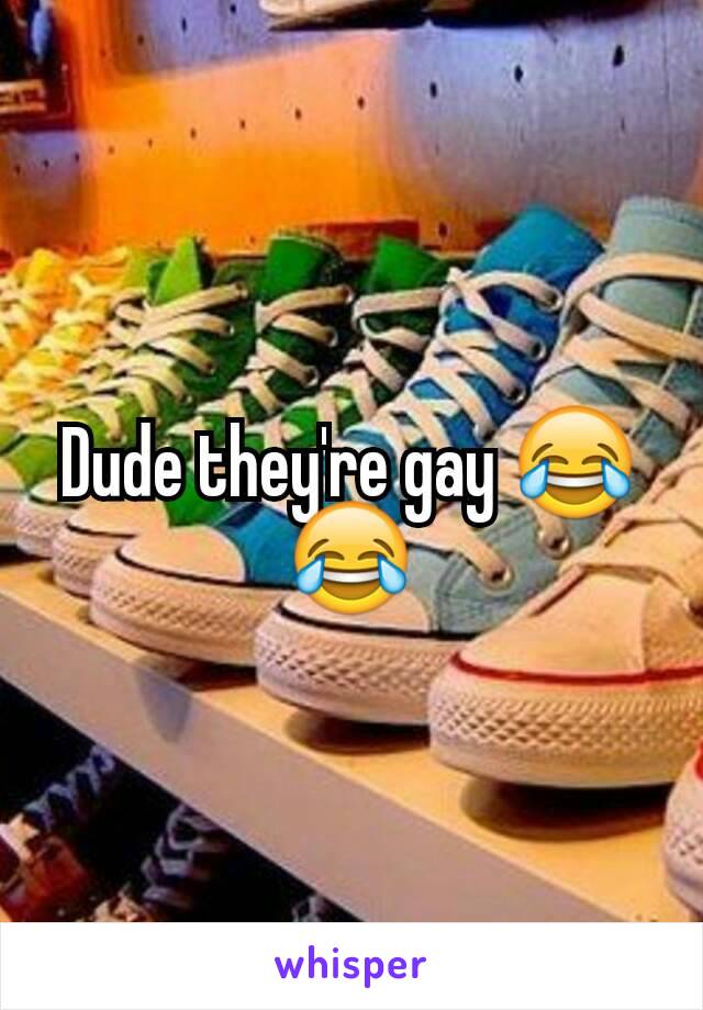 Dude they're gay 😂😂