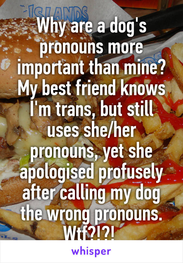 Why are a dog's pronouns more important than mine? My best friend knows I'm trans, but still uses she/her pronouns, yet she apologised profusely after calling my dog the wrong pronouns. Wtf?!?! 