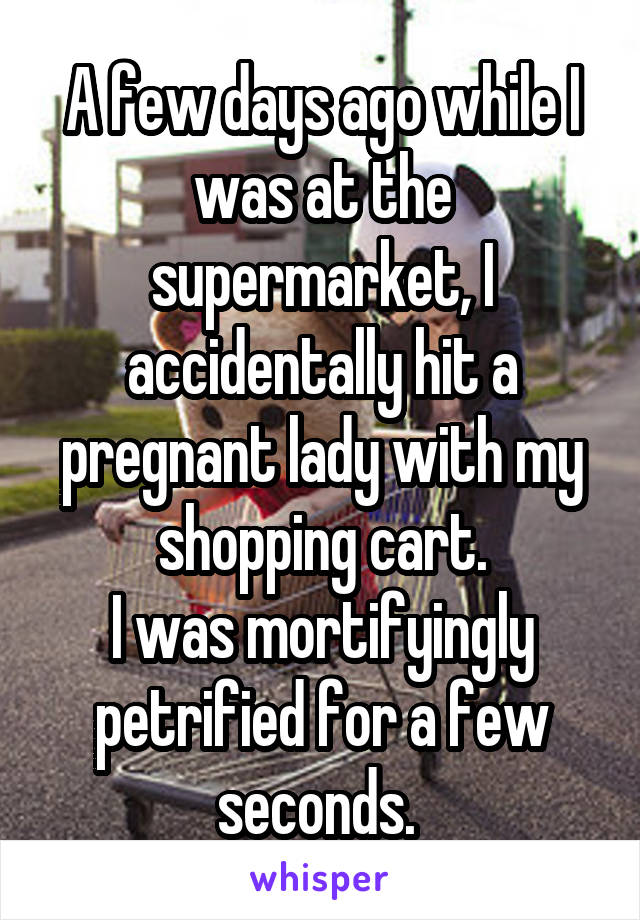A few days ago while I was at the supermarket, I accidentally hit a pregnant lady with my shopping cart.
I was mortifyingly petrified for a few seconds. 