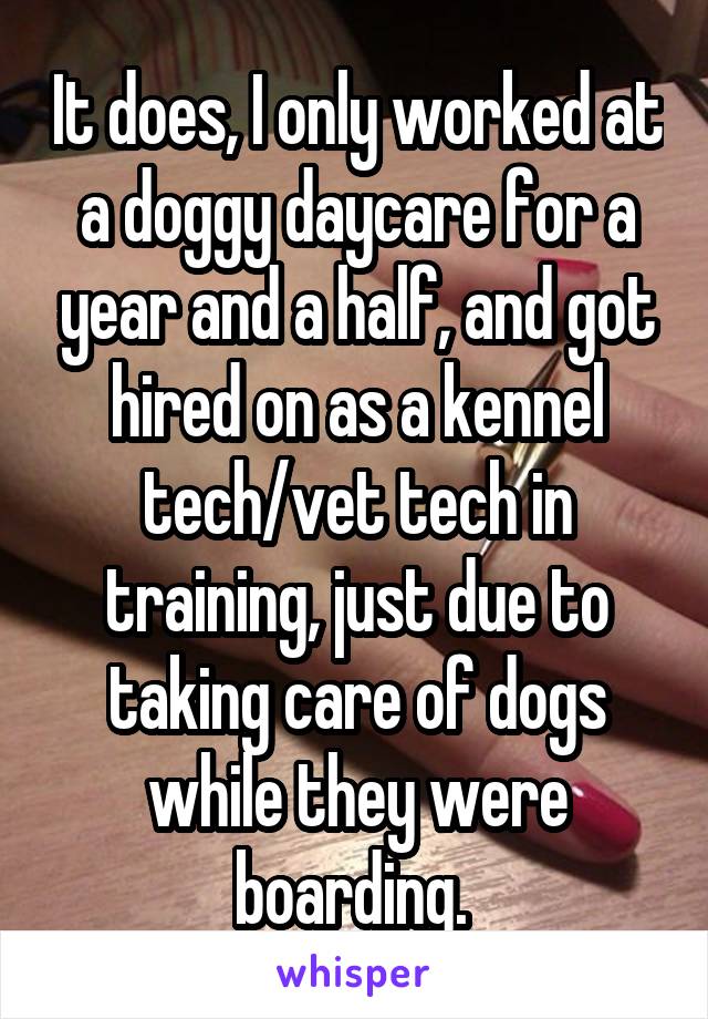 It does, I only worked at a doggy daycare for a year and a half, and got hired on as a kennel tech/vet tech in training, just due to taking care of dogs while they were boarding. 