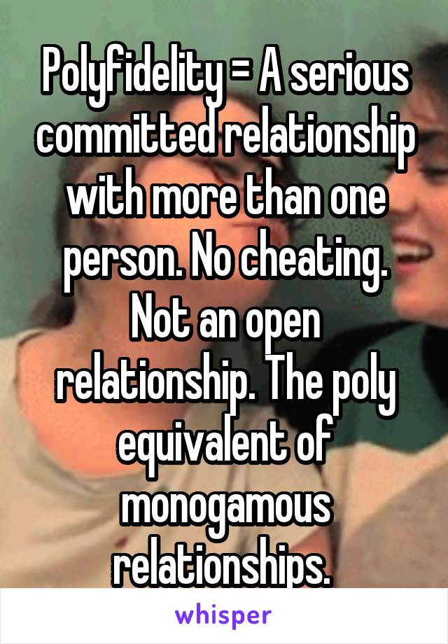 Polyfidelity = A serious committed relationship with more than one person. No cheating. Not an open relationship. The poly equivalent of monogamous relationships. 