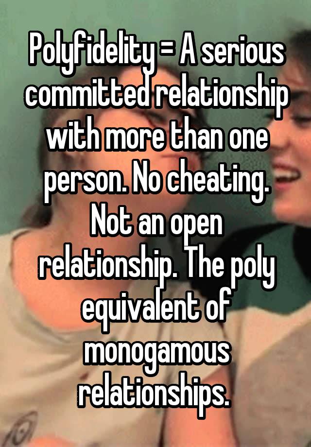 Polyfidelity = A serious committed relationship with more than one person. No cheating. Not an open relationship. The poly equivalent of monogamous relationships. 