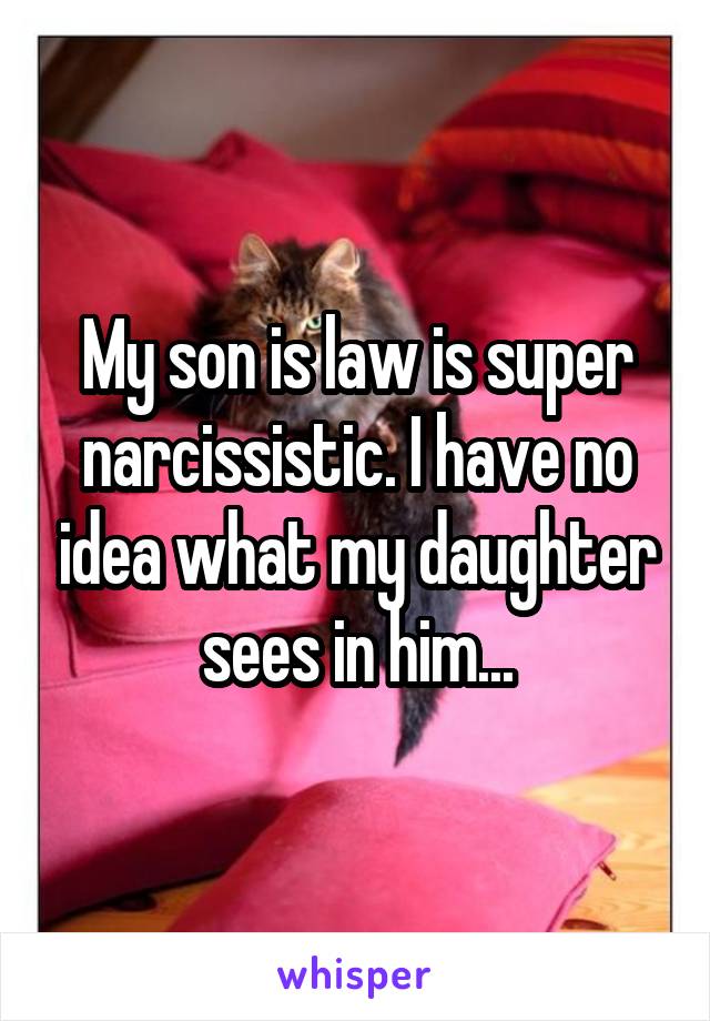 My son is law is super narcissistic. I have no idea what my daughter sees in him...
