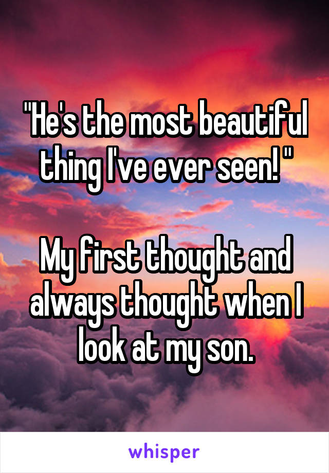"He's the most beautiful thing I've ever seen! "

My first thought and always thought when I look at my son.