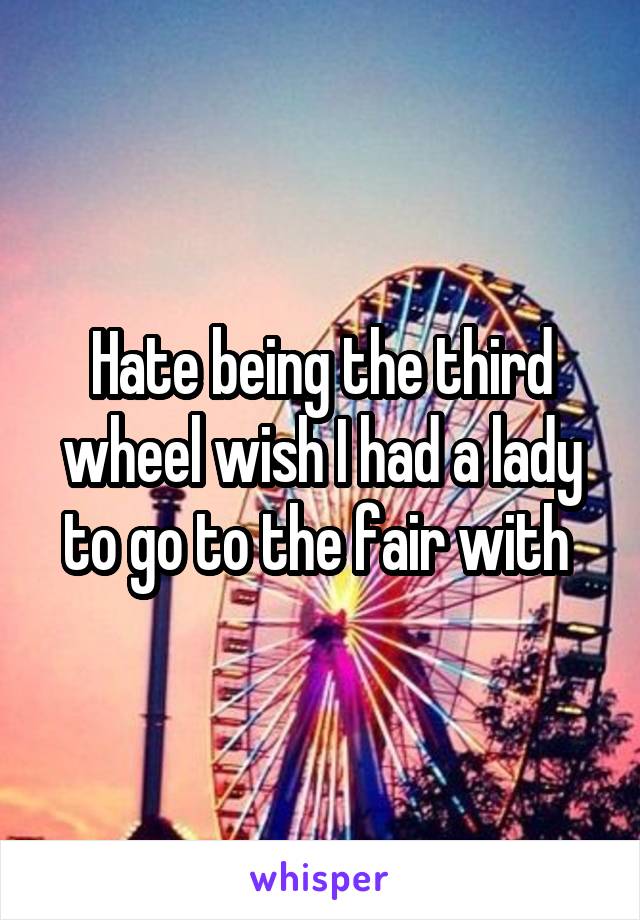 Hate being the third wheel wish I had a lady to go to the fair with 