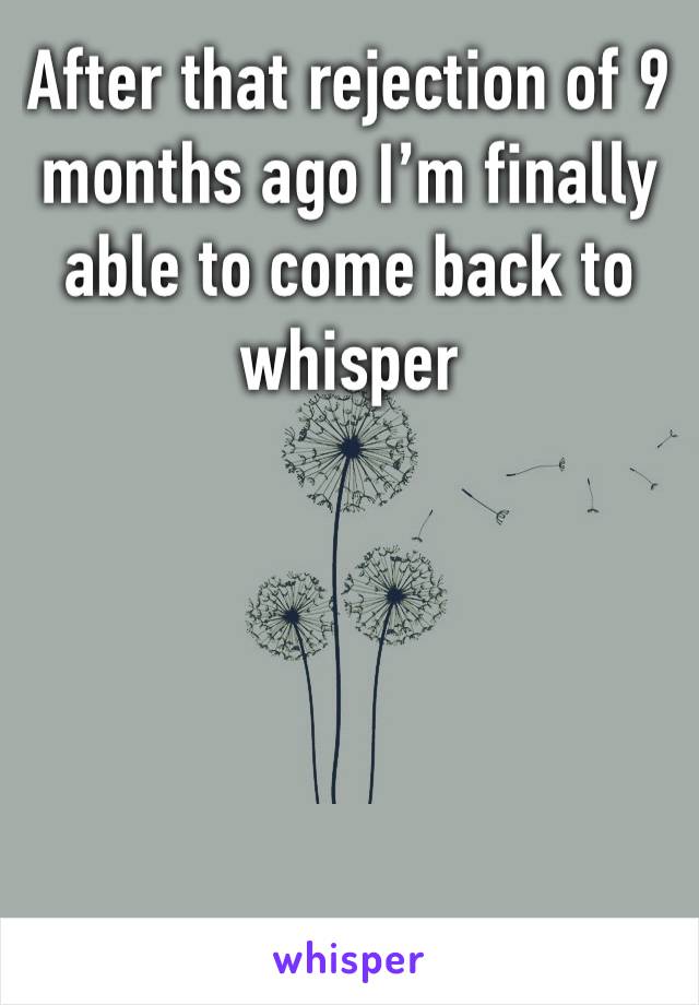 After that rejection of 9 months ago I’m finally able to come back to whisper
