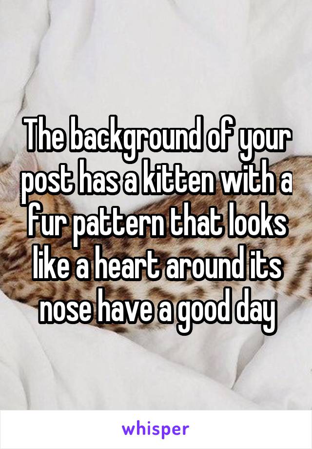 The background of your post has a kitten with a fur pattern that looks like a heart around its nose have a good day