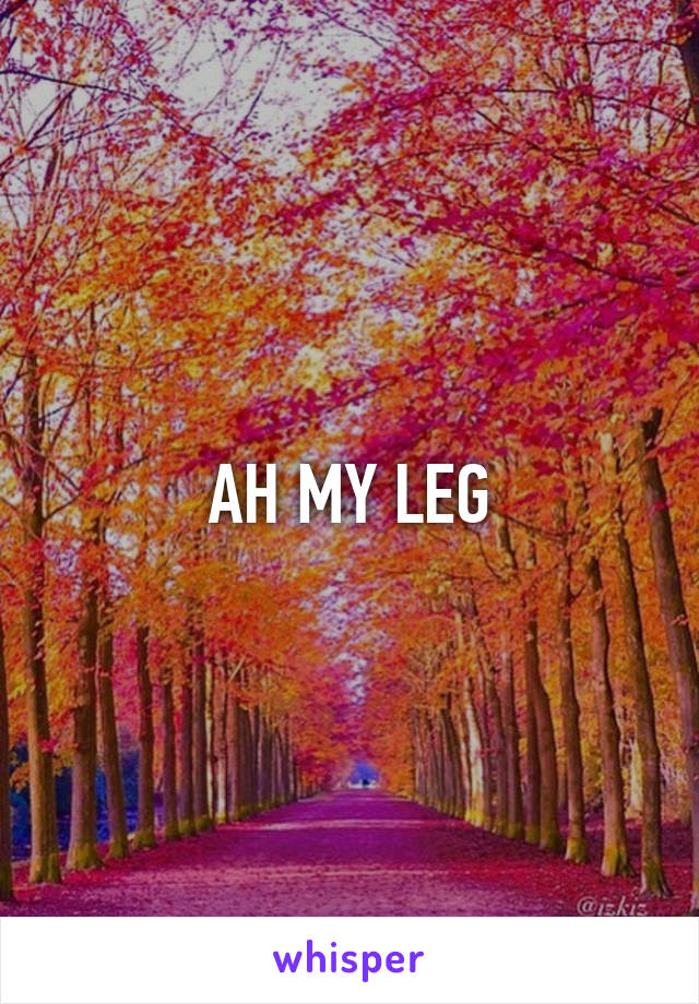 AH MY LEG