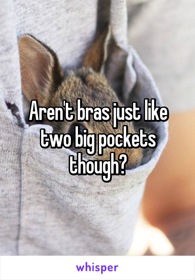 Aren't bras just like two big pockets though?