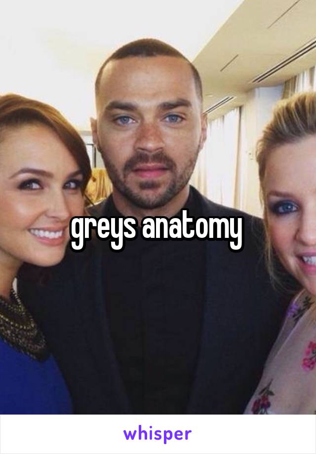 greys anatomy 