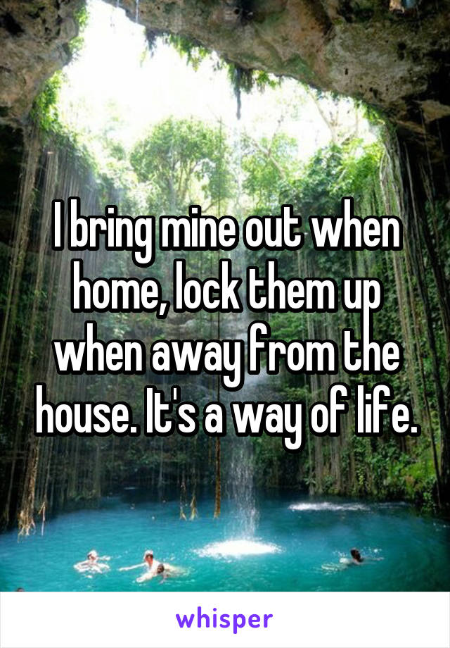 I bring mine out when home, lock them up when away from the house. It's a way of life.