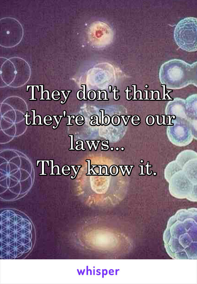 They don't think they're above our laws... 
They know it. 
