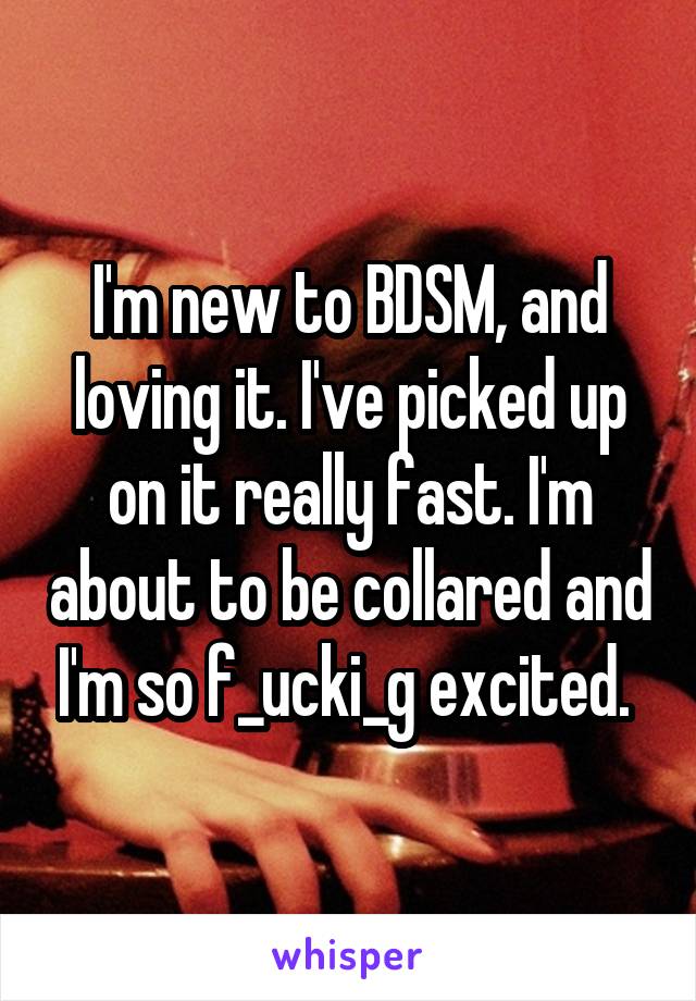 I'm new to BDSM, and loving it. I've picked up on it really fast. I'm about to be collared and I'm so f_ucki_g excited. 