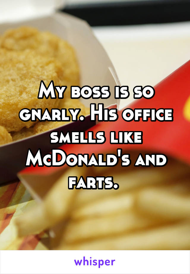 My boss is so gnarly. His office smells like McDonald's and farts. 