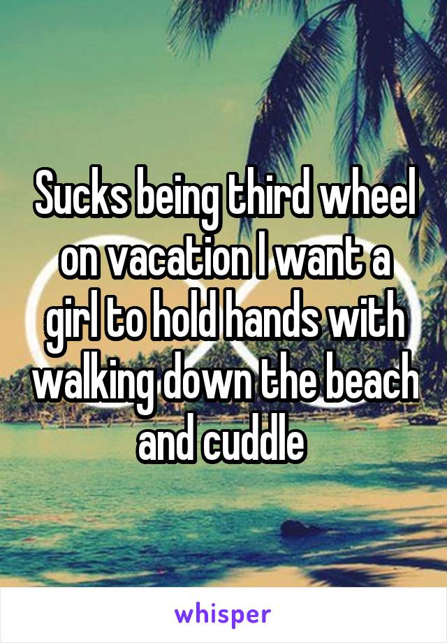 Sucks being third wheel on vacation I want a girl to hold hands with walking down the beach and cuddle 