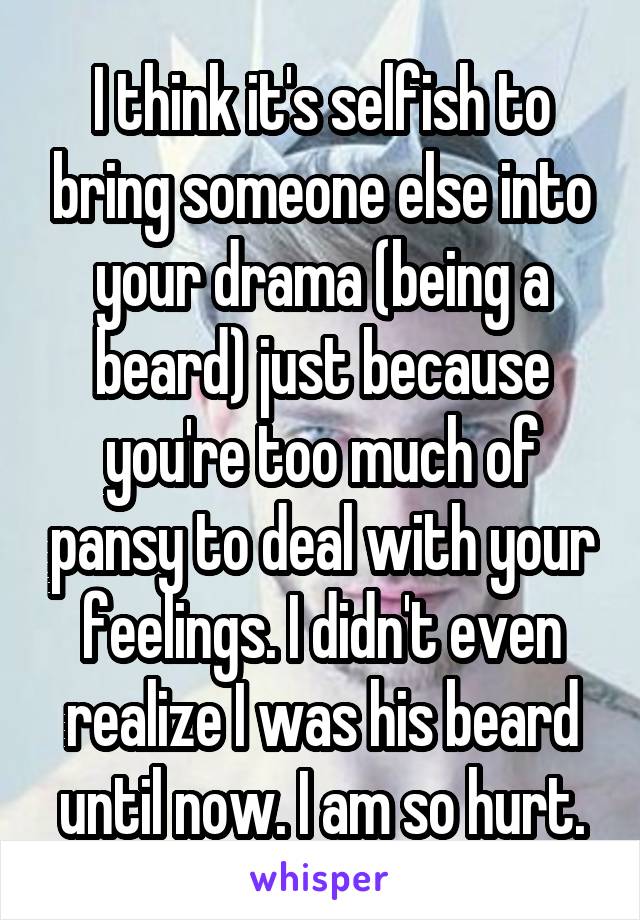 I think it's selfish to bring someone else into your drama (being a beard) just because you're too much of pansy to deal with your feelings. I didn't even realize I was his beard until now. I am so hurt.