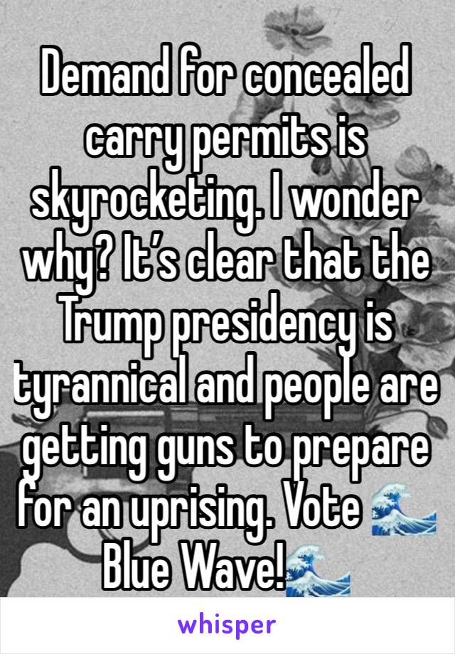 Demand for concealed carry permits is skyrocketing. I wonder why? It’s clear that the Trump presidency is tyrannical and people are getting guns to prepare for an uprising. Vote 🌊Blue Wave!🌊