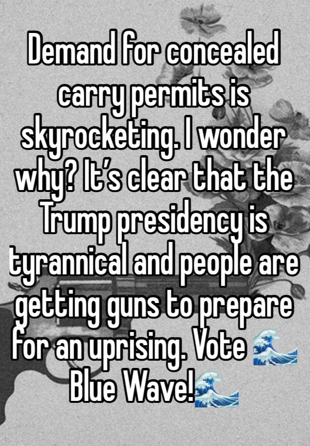 Demand for concealed carry permits is skyrocketing. I wonder why? It’s clear that the Trump presidency is tyrannical and people are getting guns to prepare for an uprising. Vote 🌊Blue Wave!🌊