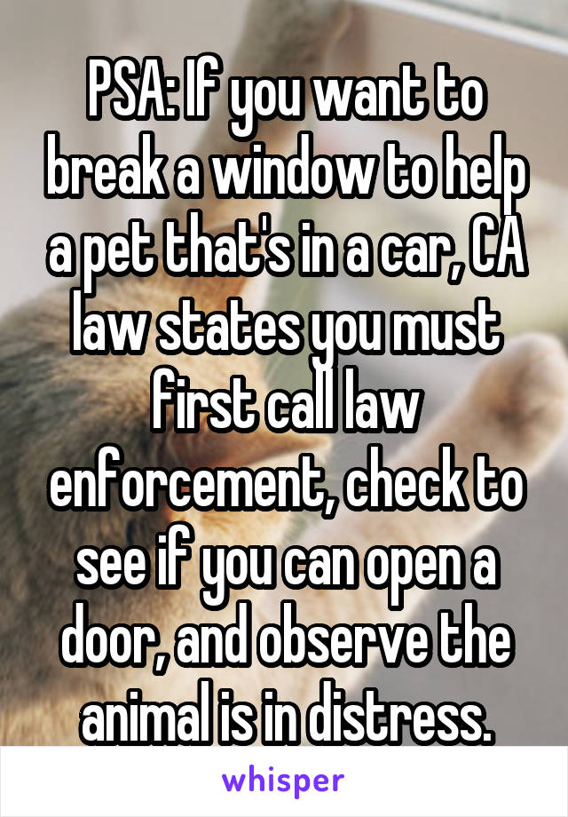 PSA: If you want to break a window to help a pet that's in a car, CA law states you must first call law enforcement, check to see if you can open a door, and observe the animal is in distress.