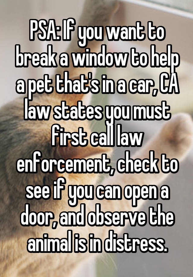 PSA: If you want to break a window to help a pet that's in a car, CA law states you must first call law enforcement, check to see if you can open a door, and observe the animal is in distress.