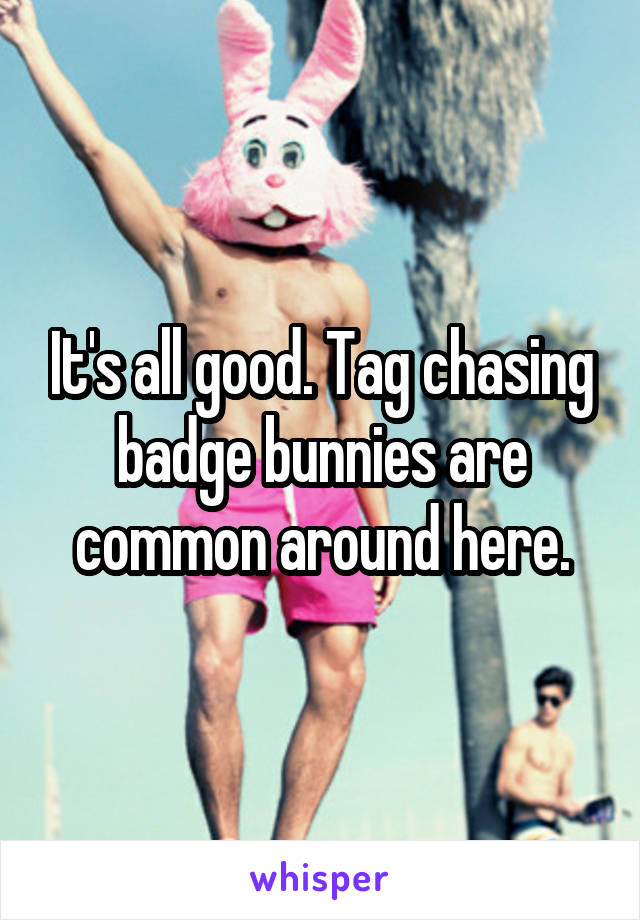 It's all good. Tag chasing badge bunnies are common around here.