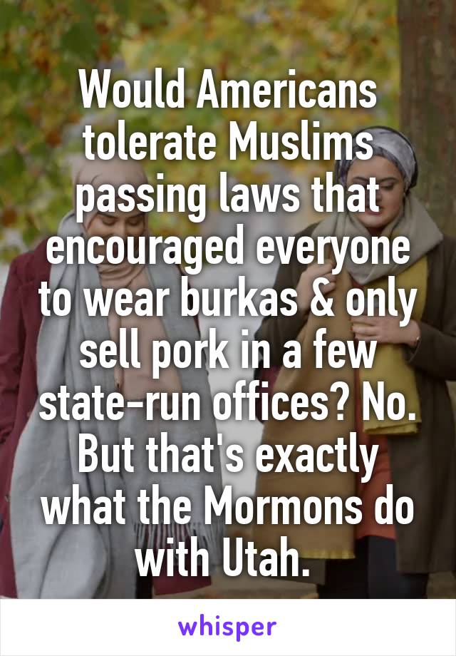 Would Americans tolerate Muslims passing laws that encouraged everyone to wear burkas & only sell pork in a few state-run offices? No. But that's exactly what the Mormons do with Utah. 