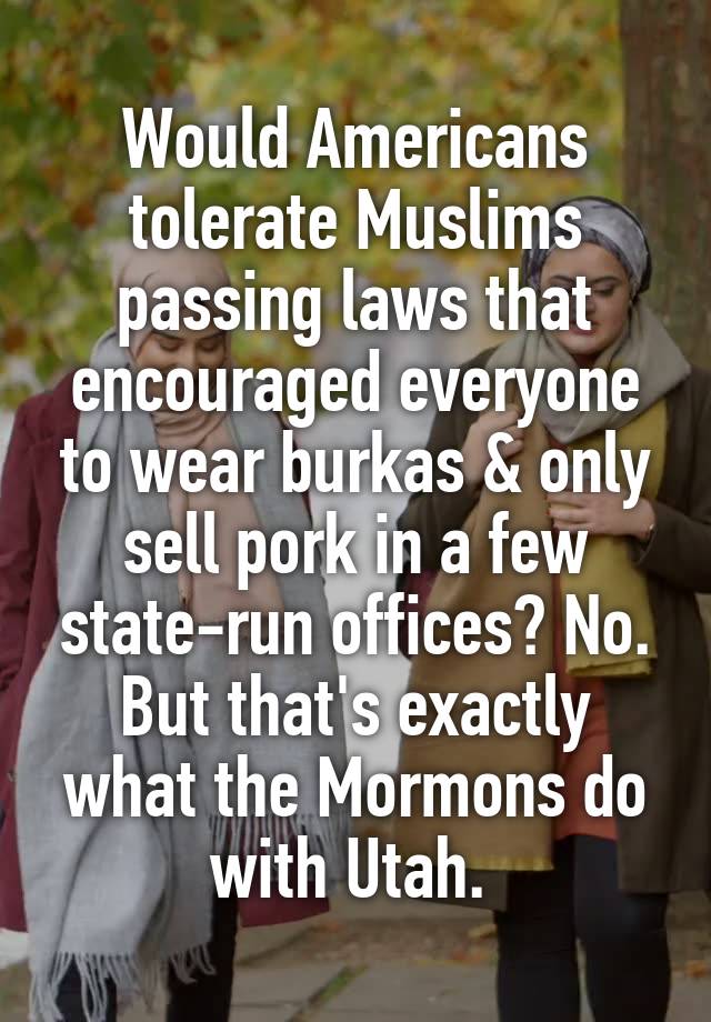 Would Americans tolerate Muslims passing laws that encouraged everyone to wear burkas & only sell pork in a few state-run offices? No. But that's exactly what the Mormons do with Utah. 