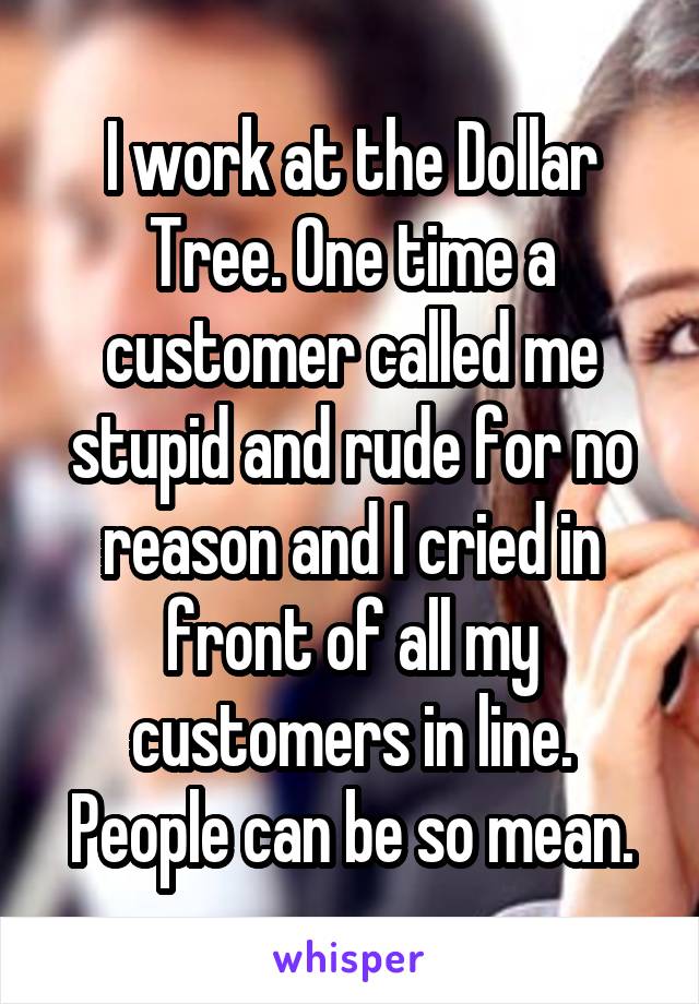 I work at the Dollar Tree. One time a customer called me stupid and rude for no reason and I cried in front of all my customers in line. People can be so mean.