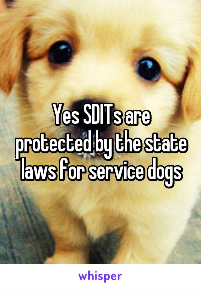 Yes SDITs are protected by the state laws for service dogs