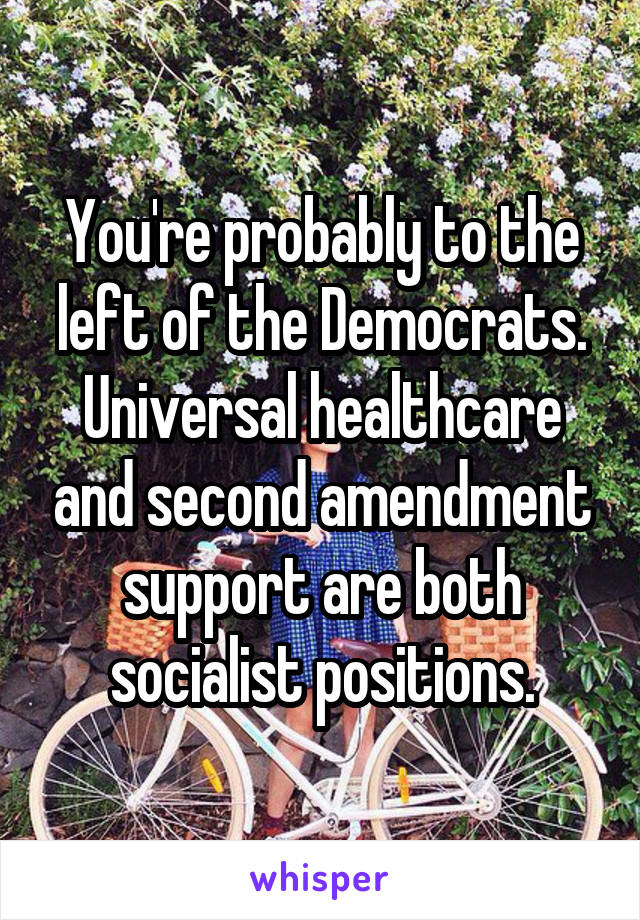 You're probably to the left of the Democrats. Universal healthcare and second amendment support are both socialist positions.