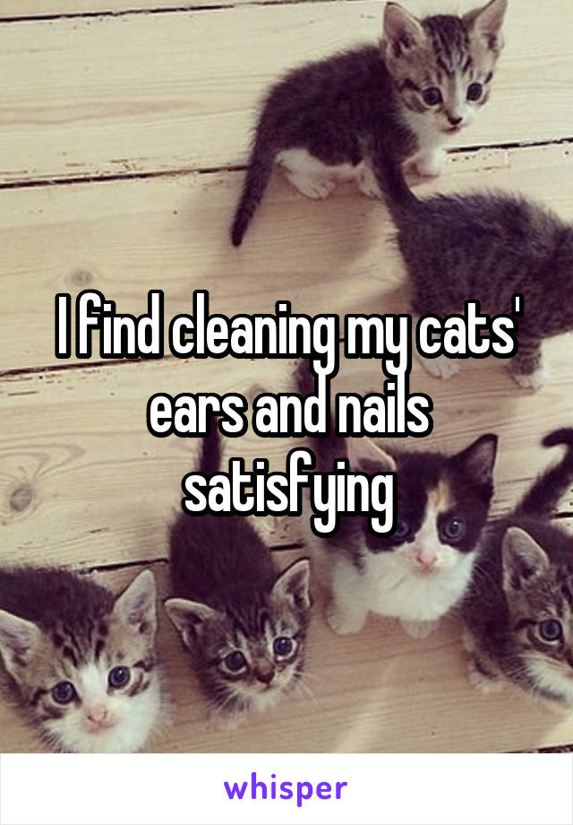 I find cleaning my cats' ears and nails satisfying