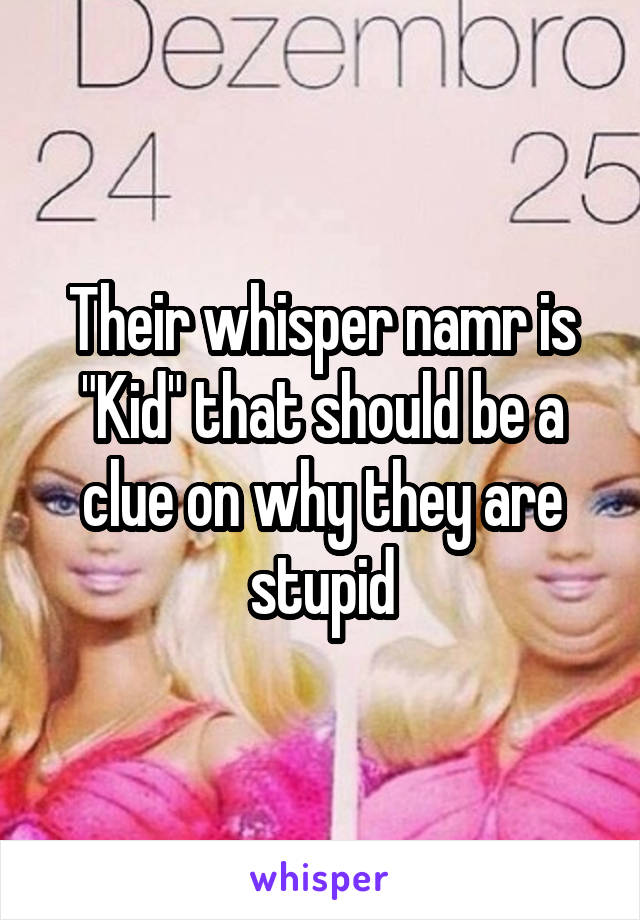 Their whisper namr is "Kid" that should be a clue on why they are stupid