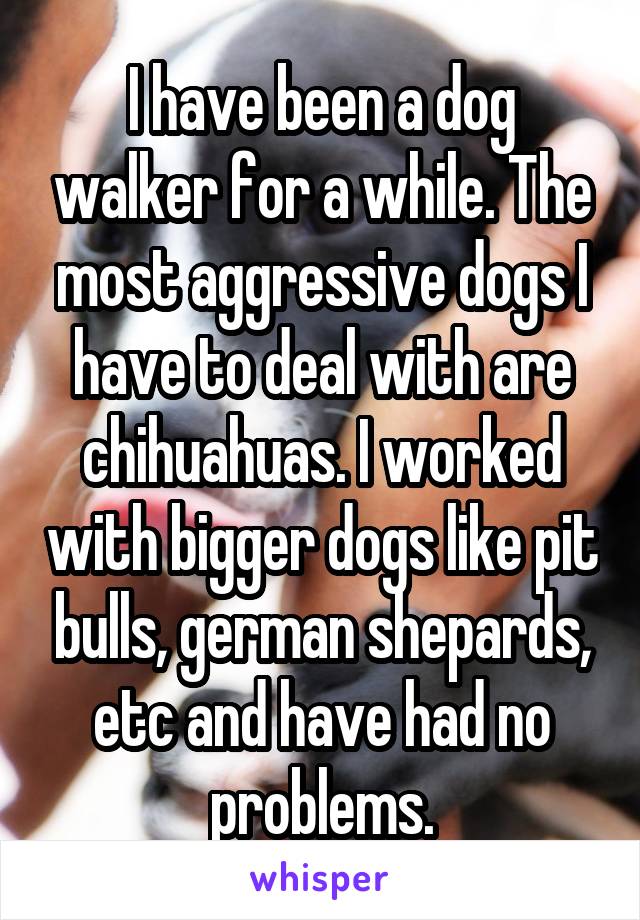 I have been a dog walker for a while. The most aggressive dogs I have to deal with are chihuahuas. I worked with bigger dogs like pit bulls, german shepards, etc and have had no problems.