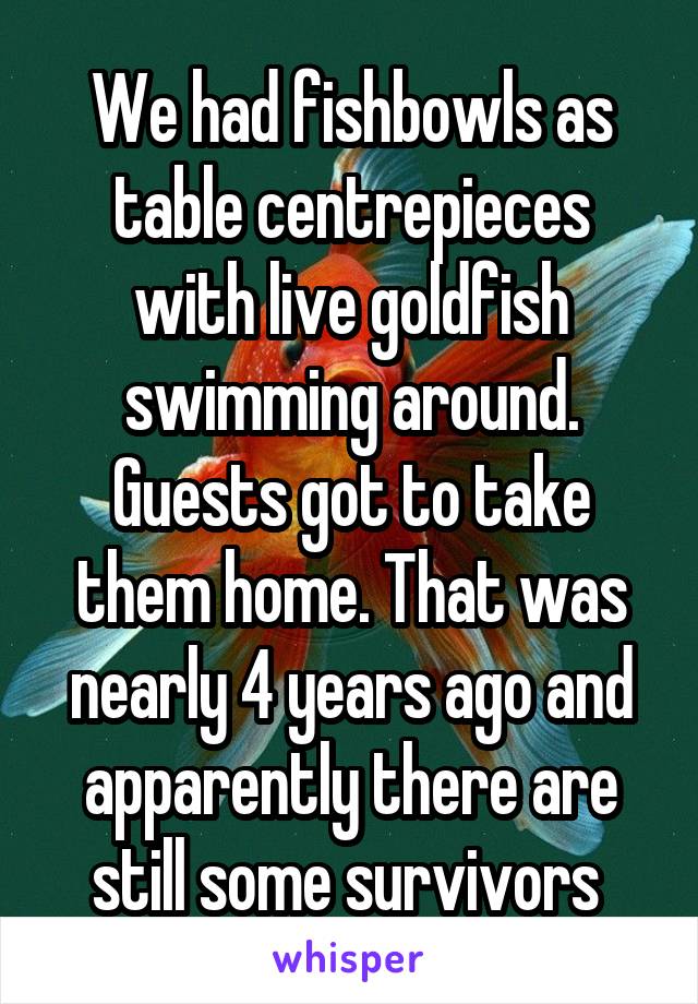We had fishbowls as table centrepieces with live goldfish swimming around. Guests got to take them home. That was nearly 4 years ago and apparently there are still some survivors 