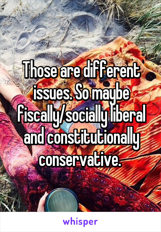 Those are different issues. So maybe fiscally/socially liberal and constitutionally conservative. 