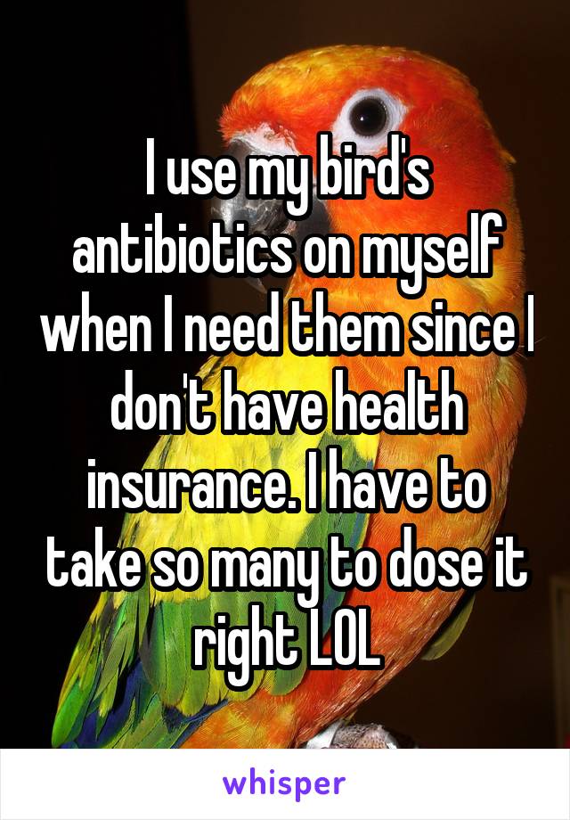 I use my bird's antibiotics on myself when I need them since I don't have health insurance. I have to take so many to dose it right LOL