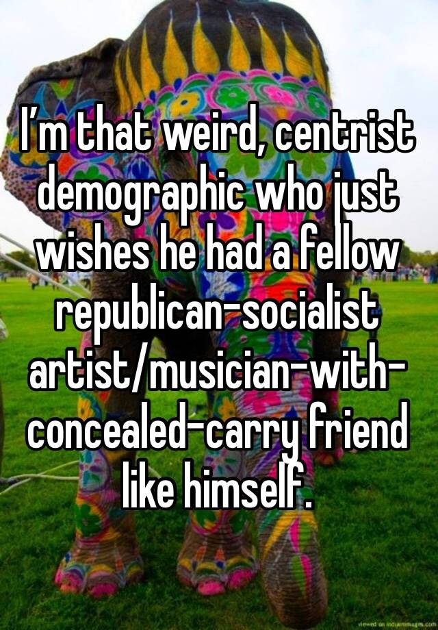 I’m that weird, centrist demographic who just wishes he had a fellow republican-socialist artist/musician-with-concealed-carry friend like himself.