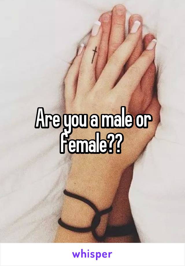 Are you a male or female?? 