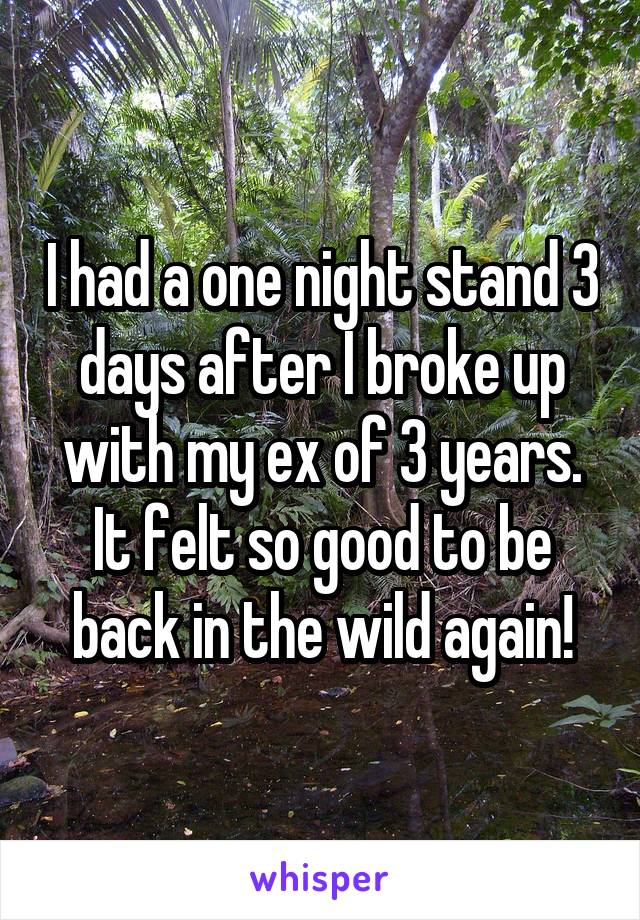 I had a one night stand 3 days after I broke up with my ex of 3 years. It felt so good to be back in the wild again!