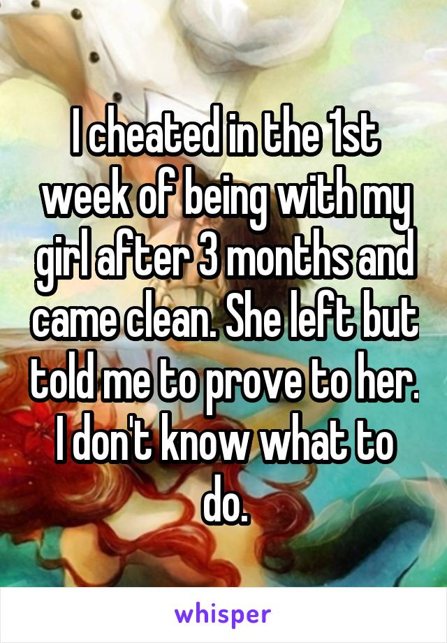 I cheated in the 1st week of being with my girl after 3 months and came clean. She left but told me to prove to her. I don't know what to do.