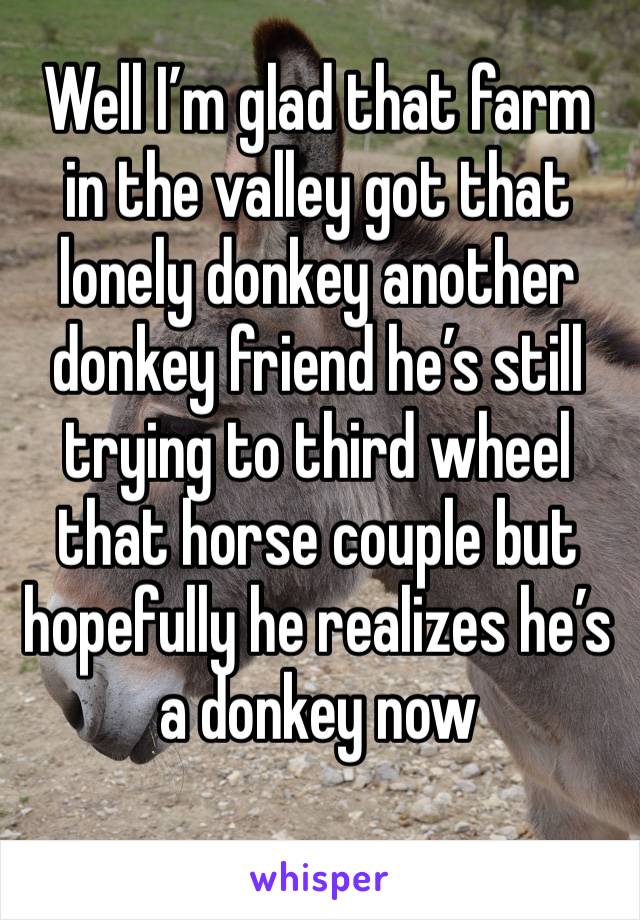 Well I’m glad that farm in the valley got that lonely donkey another donkey friend he’s still trying to third wheel that horse couple but hopefully he realizes he’s a donkey now 