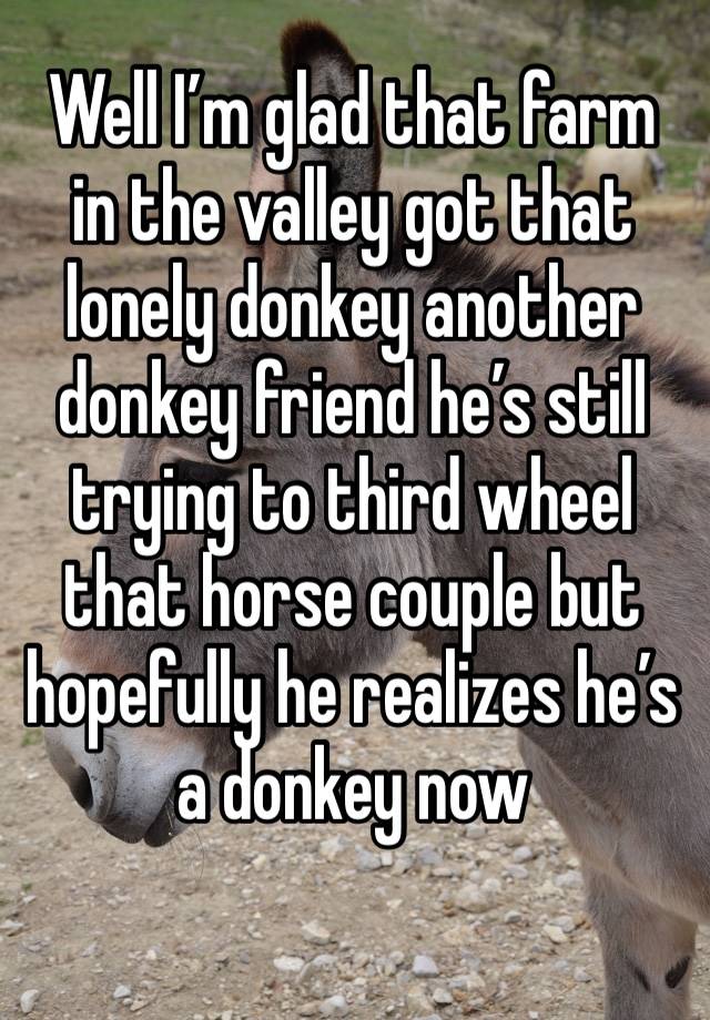 Well I’m glad that farm in the valley got that lonely donkey another donkey friend he’s still trying to third wheel that horse couple but hopefully he realizes he’s a donkey now 