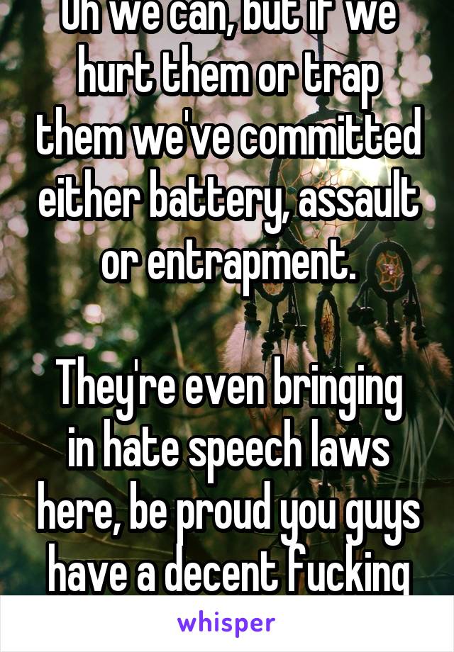 Oh we can, but if we hurt them or trap them we've committed either battery, assault or entrapment.

They're even bringing in hate speech laws here, be proud you guys have a decent fucking law