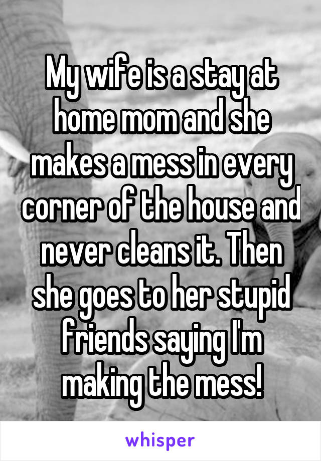 My wife is a stay at home mom and she makes a mess in every corner of the house and never cleans it. Then she goes to her stupid friends saying I'm making the mess!