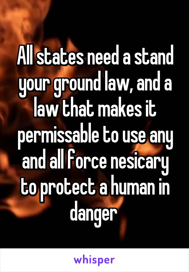 All states need a stand your ground law, and a law that makes it permissable to use any and all force nesicary to protect a human in danger 