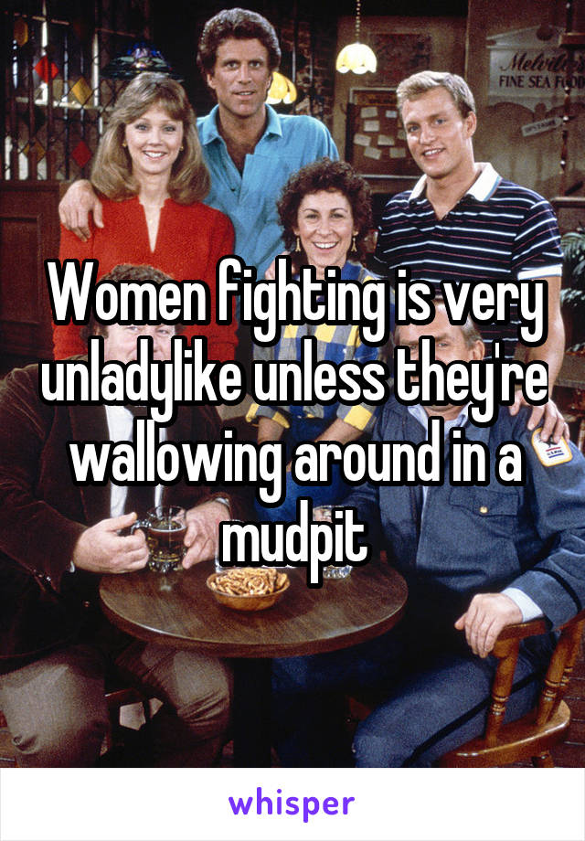 Women fighting is very unladylike unless they're wallowing around in a mudpit