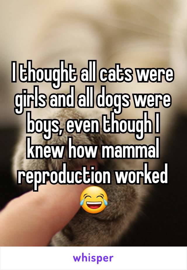 I thought all cats were girls and all dogs were boys, even though I knew how mammal reproduction worked 😂