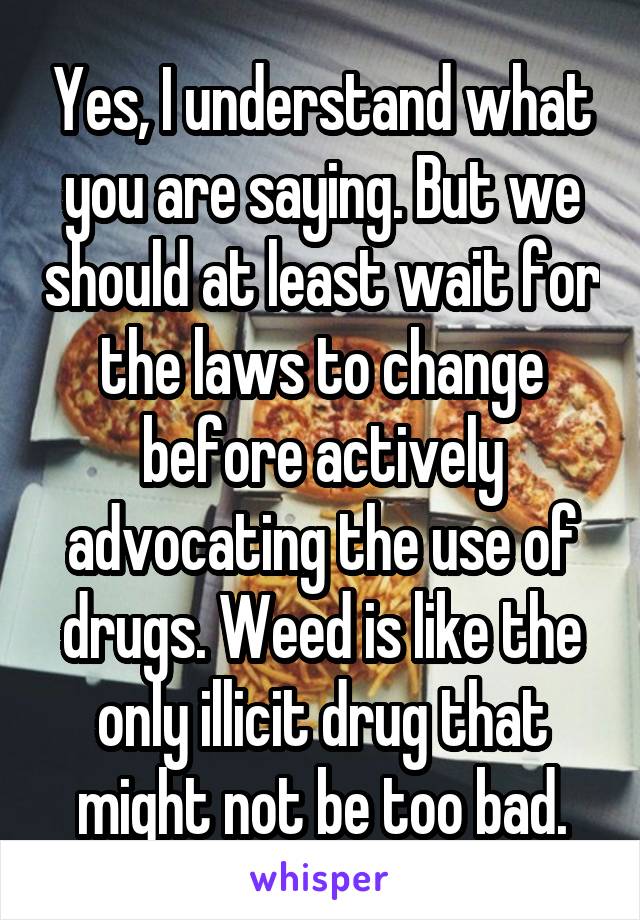 Yes, I understand what you are saying. But we should at least wait for the laws to change before actively advocating the use of drugs. Weed is like the only illicit drug that might not be too bad.