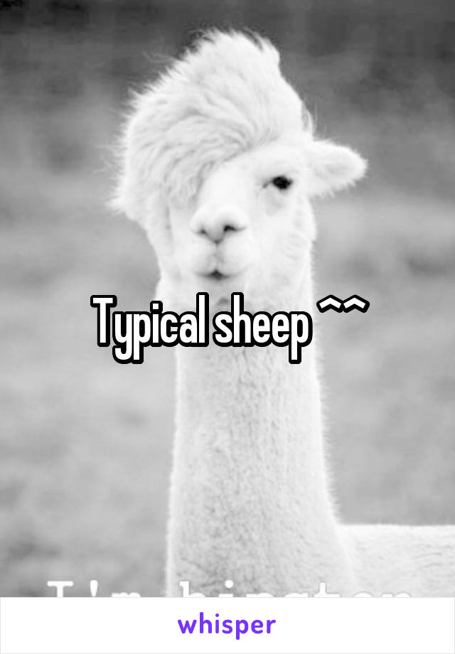 Typical sheep ^^