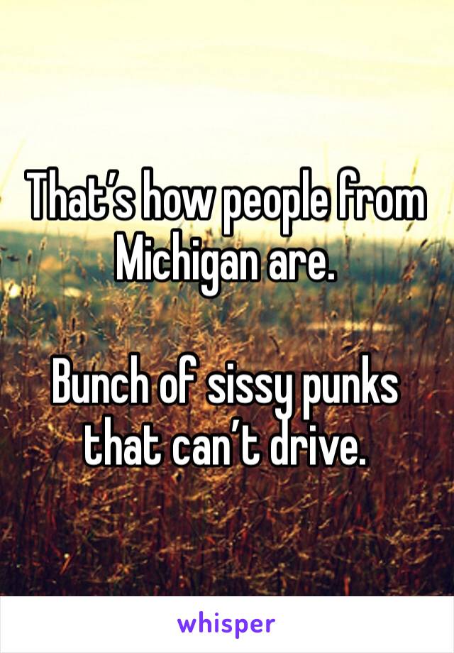 That’s how people from Michigan are. 

Bunch of sissy punks that can’t drive. 